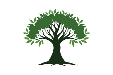 Obraz premium green tree isolated on white