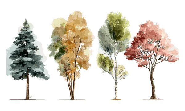 Hand drawn watercolor tree vector illustration, minimal style, side view, graphic elements for landscape and architecture design, seasonal nature art, forest, ecology theme.