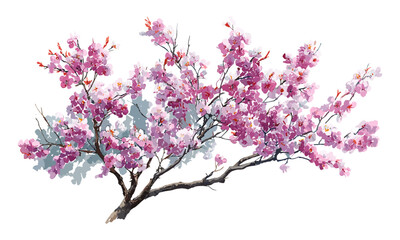 Vector illustration, tree top view watercolor, blooming flowers, garden plan, isolated on white, spring elements, architecture drawing, environment, botanical art, floral layout.