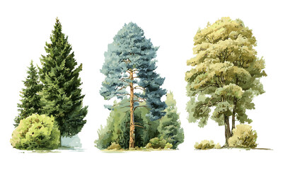 Vector illustration watercolor tree side view, green pine, blue spruce, lush ash, beige bush, forest trees EPS, hand drawn set, nature landscape, botanical design, outdoor foliage.