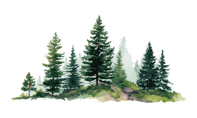 Pine trees watercolor, forest mountain landscape, green woodland scenery, tree illustration, vector illustration, natural outdoors, serene landscape, wildlife habitat, peaceful nature.