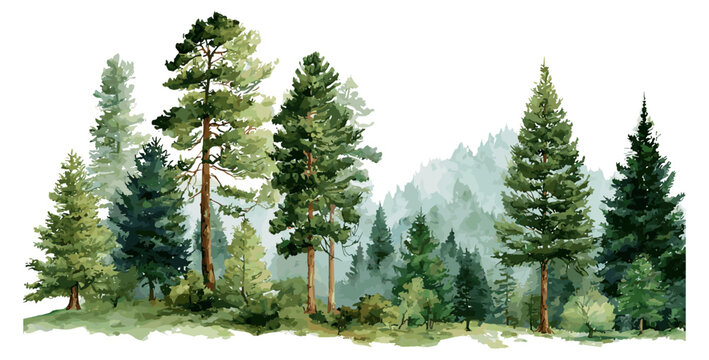 Mountain landscape, forest trees, green pine woodland, watercolor nature illustration, vector illustration, serene forest scenery, natural environment, hiking forest view, eco wilderness.