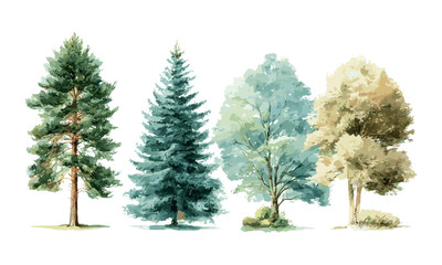 Fototapeta premium Blue spruce, green pine, lush ash, beige bush, watercolor tree set, vector illustration, forest greenery, garden plants, botanical design, artistic nature collection.