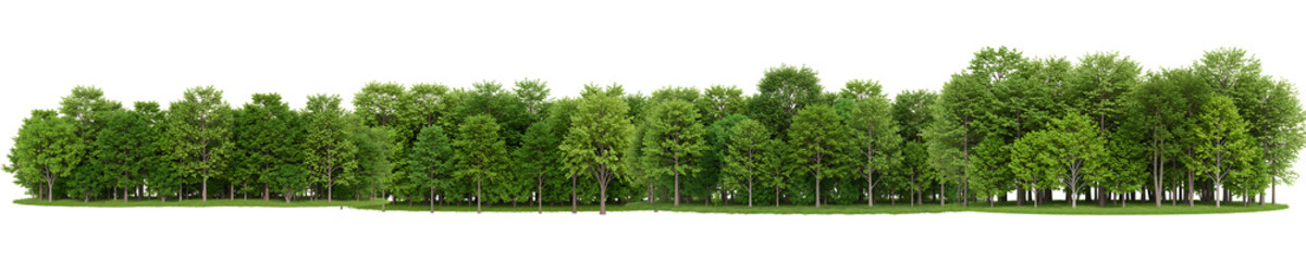 Dense Green Forest Tree Line Landscape On Transparent Background

