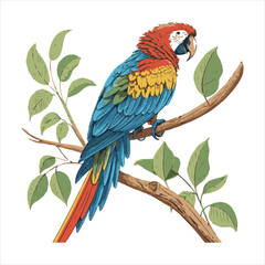 Parrot Vector