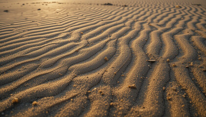 Beach Sand Ripples