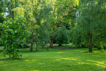 Fototapeta premium Le parc Napoléon III dans la ville de Vichy dans l'Allier en Auvergne