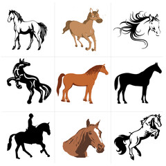 Horse Vector New File 3