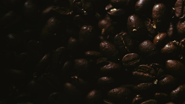 Coffee Beans Fall on Lens