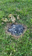 Fire site at the velmerstot increased risk of forest fire
