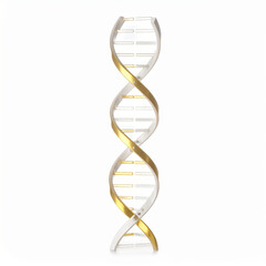 Gold and white dna structure rotating on white background