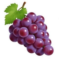 Bunch of purple grapes with leaf on white background