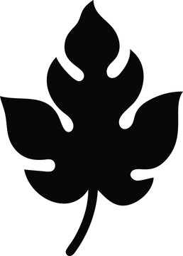 recommend clip art: papaya leaf silhouette