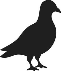 pigeon silhouette