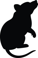 raccoon silhouette
