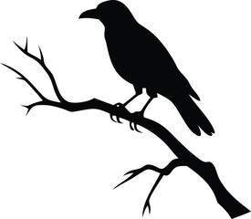 raven bird silhouette on a dead tree branch