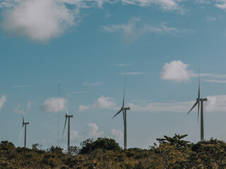 windmills on vegetation taking advantage of the wind