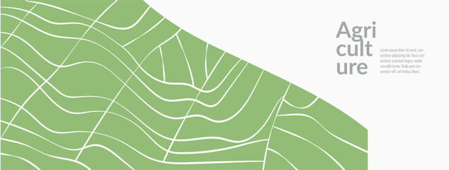 Organic rice field vineyard wheat with green wavy pattern. Modern eco-friendly illustration of farmland. Abstract vector design for packaging, merchandise, kitchen menu, contemporary template, layout