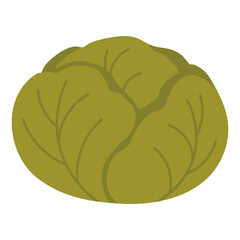 Flat vector illustration of a fresh green cabbage head, perfect for autumn harvest or farm designs.