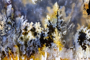 Close-up abstract of Plum agate