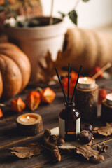Concept of cozy fall home atmosphere, aromatherapy. Perfume, appartment aroma reed diffuser with autumn scent of pumpkin pie, cinnamon, anise. Room decor with pumpkins, wool plaid, scented candles.
