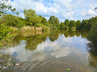 N&ouml;rdlicher Kronsbergsee in Hannover Bemerade
