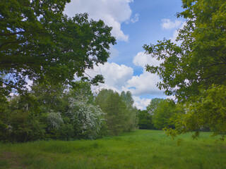 Ein Landschaft in Hannover- Bemerode 