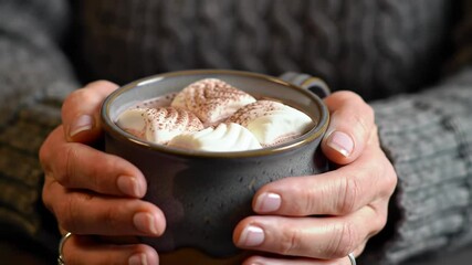 Warm hands cradle a rich hot cocoa filled with fluffy marshmallows on a chilly day in a cozy café setting - Powered by Adobe