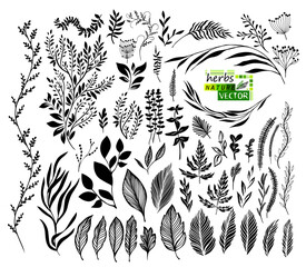 Set of graphic black leaves and branches. hand drawn. Not AI, Vector illustration