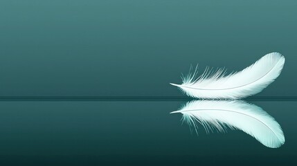 Obraz premium A white feather is resting on a mirrored surface with a reflection