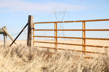 rural yellow metal gate in field of tall grass