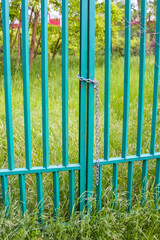 Bright Turquoise Metal Gate with Vertical Bars Against Lush Green Garden Background