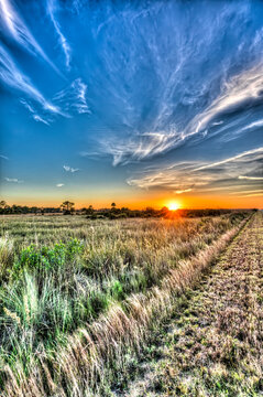 Sun setting over the Big Cypress National Preserve casts a warm glow over the prairie landscape.