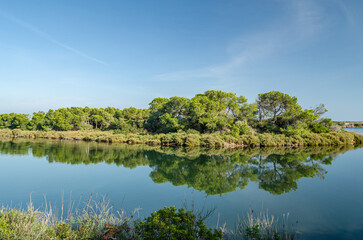 Fototapeta premium Artificial pond in the Albufera Natural Park, Valencia, Spain