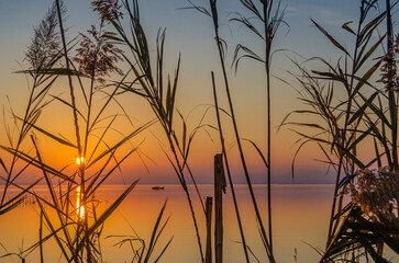 Obraz premium Sunset in the Albufera Natural Park, Valencia, Spain