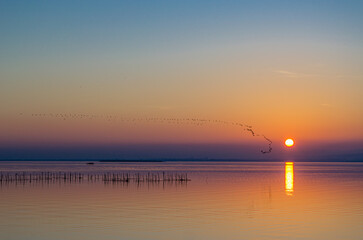 Sunset in the Albufera Natural Park, Valencia, Spain
