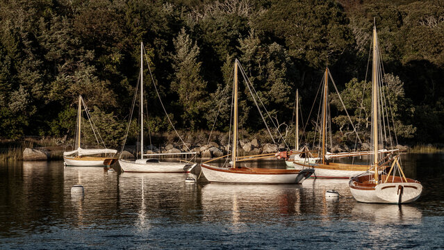 USA, Massachusetts, Cape Cod, Falmouth. Vintage sailboats moored in Quissett Harbor