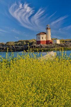 USA, Oregon, Bandon. Coquille River Lighthouse along the Pacific Coastline with foreground of wild mustard