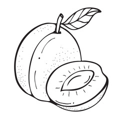 Obraz premium Plums sketch. Doodle art style. Cartoon black and white outline. Drawn vector illustrations of fruits for restaurant menu, market label, culinary design, banner, poster, children's coloring. 