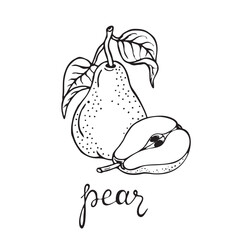 Pear sketch. Hand drawn fruit illustration for greeting cards, posters, recipe, culinary design. Isolated on white background. Doodle vector illustration. Lettering