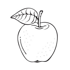 Apple sketch. Beautiful cartoon black and white outline. Drawn vector fruit illustration for greeting cards, posters, recipes, culinary design, children's coloring pages.Isolated on white background.