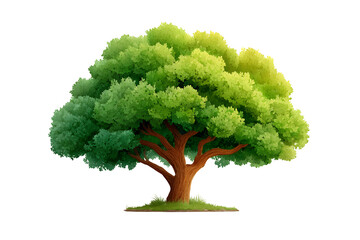 A lush green tree with a thick canopy and sturdy trunk perfect for nature backgrounds environ