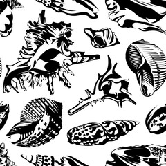 Seamless pattern with seashells isolated on a white background. Decor style. 