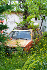Old car invader from plants 