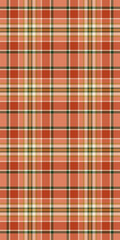 Warm coral, beige, and green plaid pattern.  Perfect for autumnal designs, textile prints, or as a background texture.
