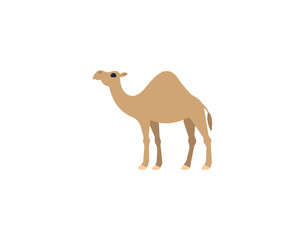 Camel vector isolated emoticon. Camel emoji. Camel color icon