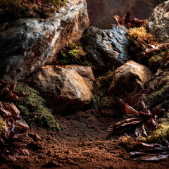 Obraz premium Rock stone ground nature forest earth dirt landscape texture vegetation moss travel mountains foliage wilderness eco-friendly organic terrain wilderness ecosystem woodlands timber foliage terrain