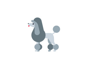 Poodle dog vector isolated emoticon. Poodle emoji. Poodle color icon
