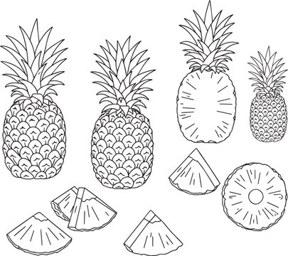 Line art illustration of pineapples whole and sliced