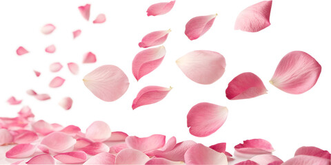 Soft pink petals gracefully swirl through the air, creating a romantic atmosphere filled with elegance and beauty Generative AI ai, png, transparent, pink, petals, floating, romantic, 